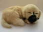 Preview: Liegender Hund aus Echtfell